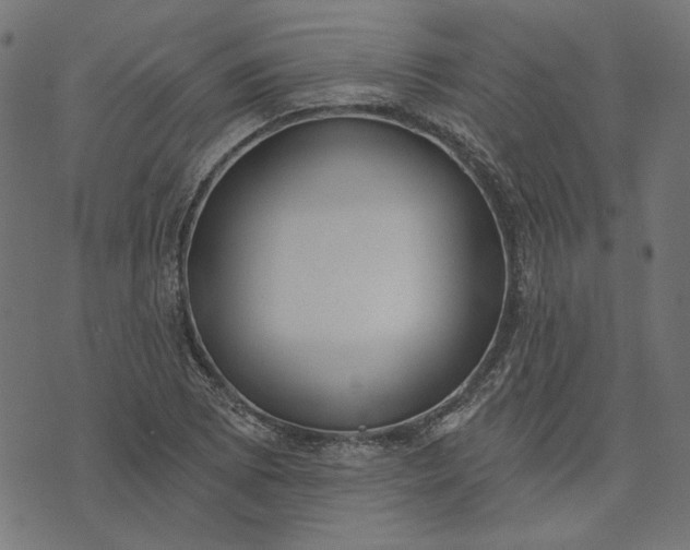 X0000073761073200608171350