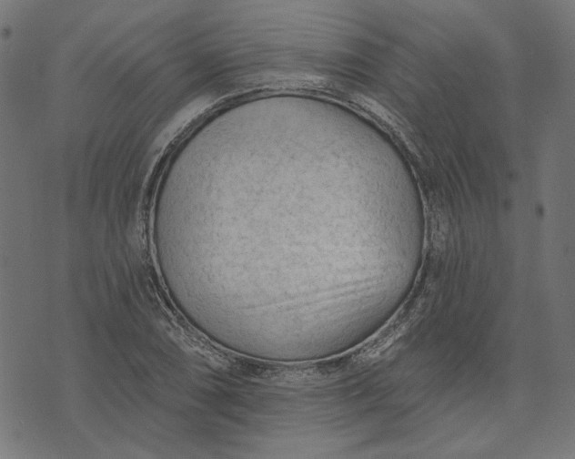 X0000073761074200608171350