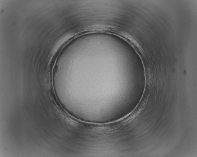 X0000073761075200608171350