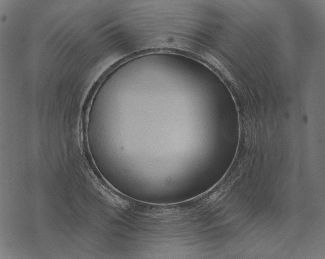 X0000073761076200608171350