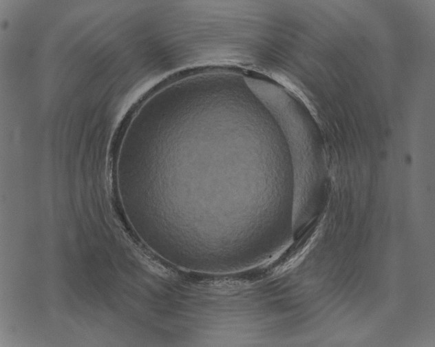 X0000073761077200608171350