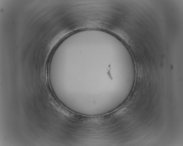 X0000073761078200608171350