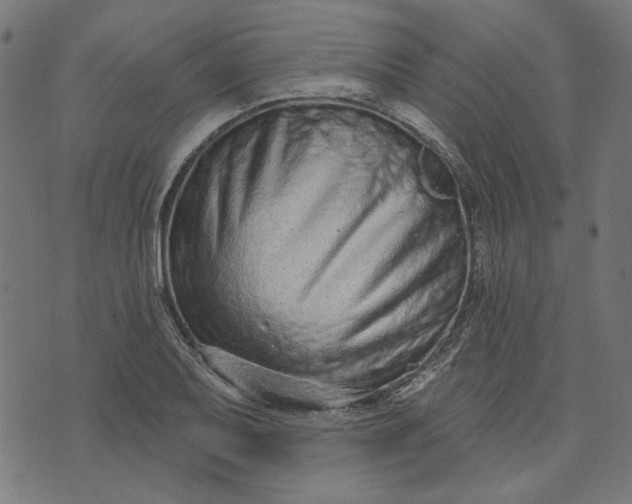 X0000073761079200608171350