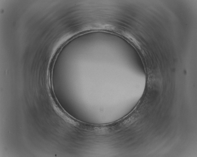 X0000073761080200608171350