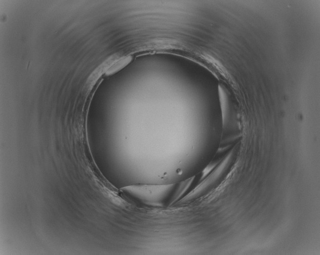 X0000073761081200608171350