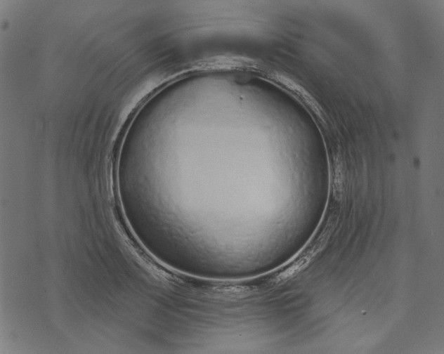 X0000073761083200608171350