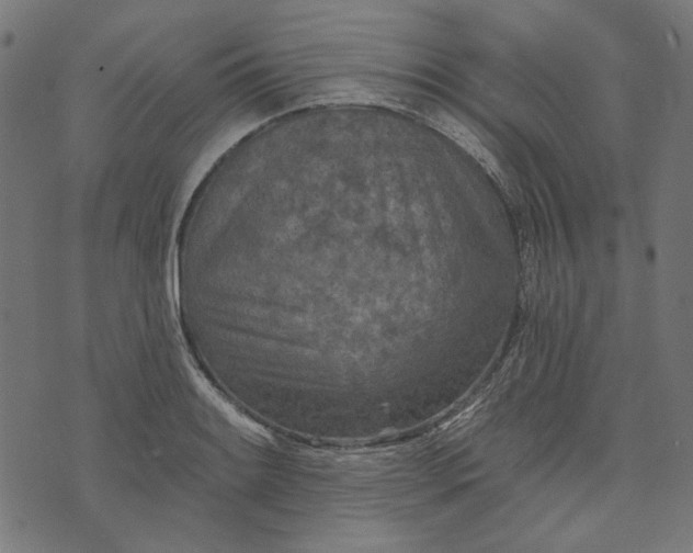 X0000073761084200608171350