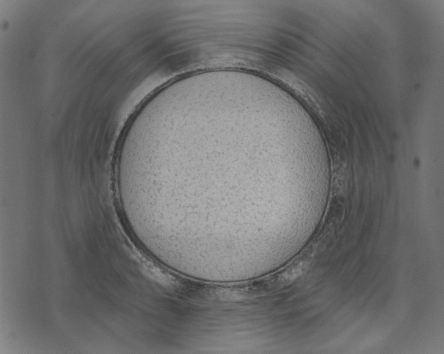 X0000073761086200608171350