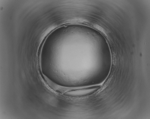 X0000073761087200608171350