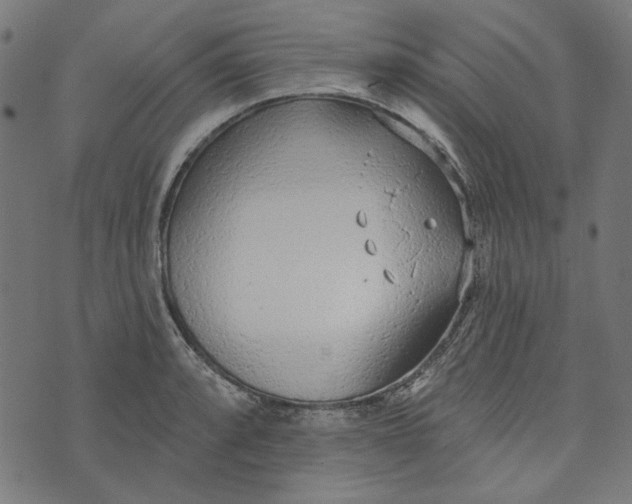 X0000073761088200608171350