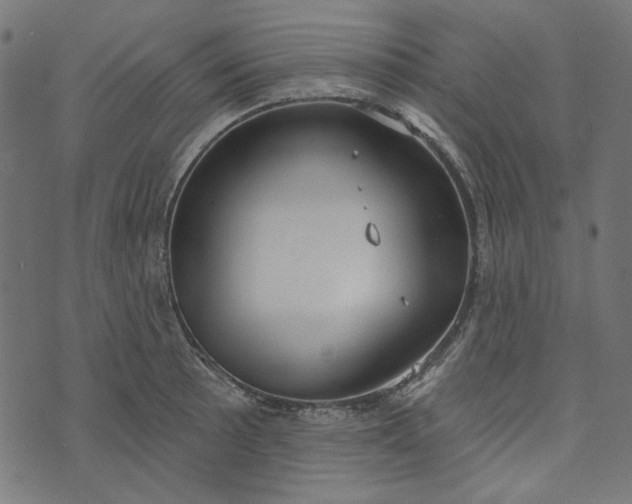 X0000073761089200608171350