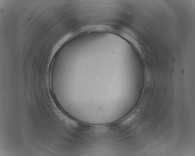 X0000073761090200608171350