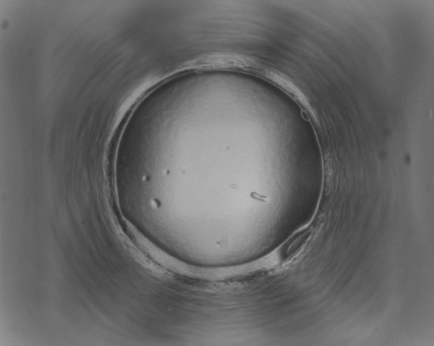 X0000073761091200608171350