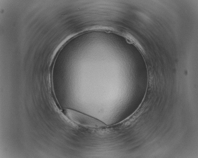 X0000073761092200608171350