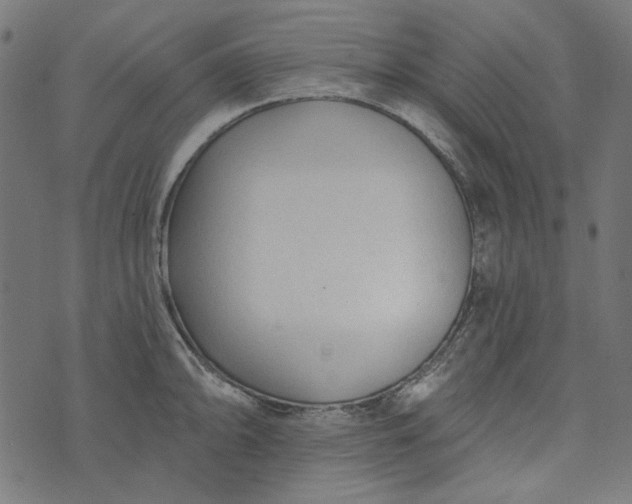 X0000073761094200608171350