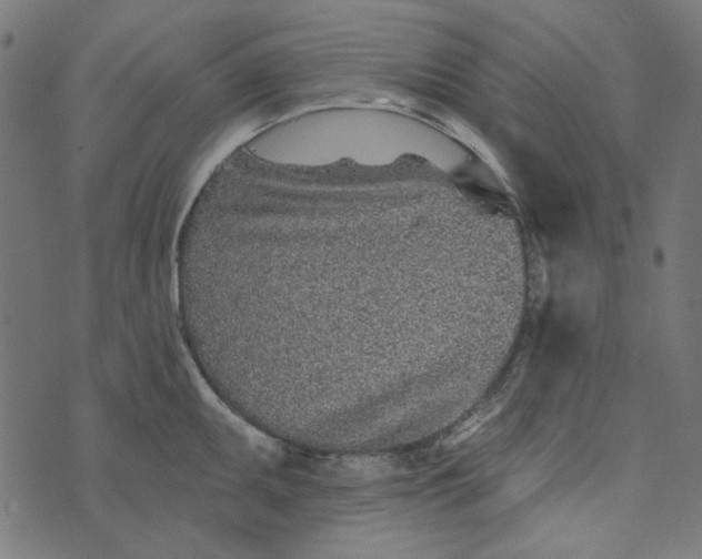 X0000073761095200608171350