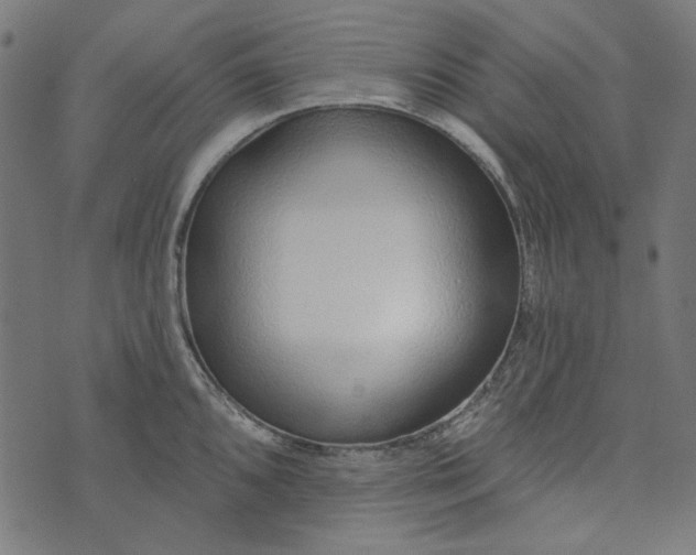 X0000073761096200608171350