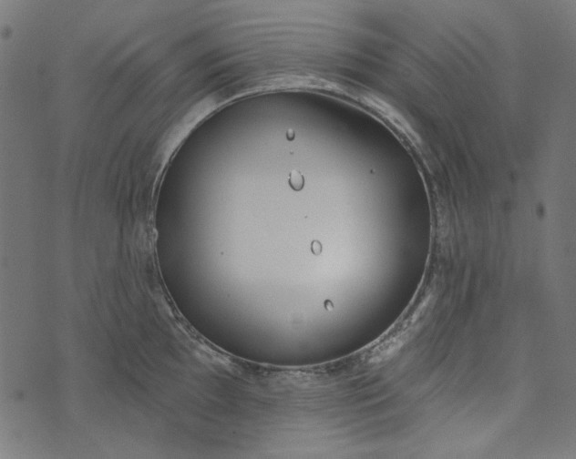 X0000073761097200608171350