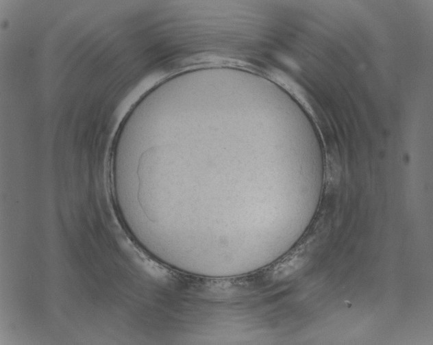 X0000073761098200608171350