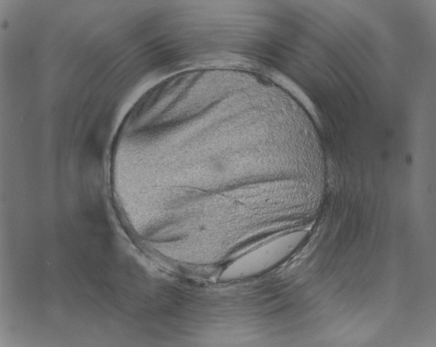 X0000073761099200608171350