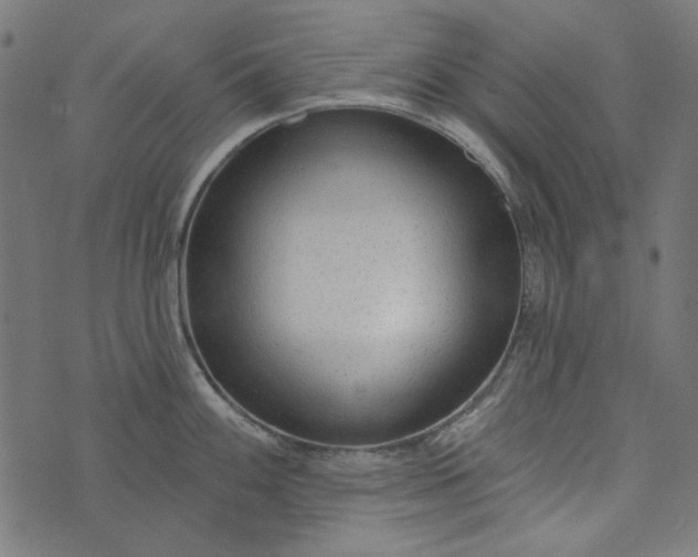 X0000073761100200608171350