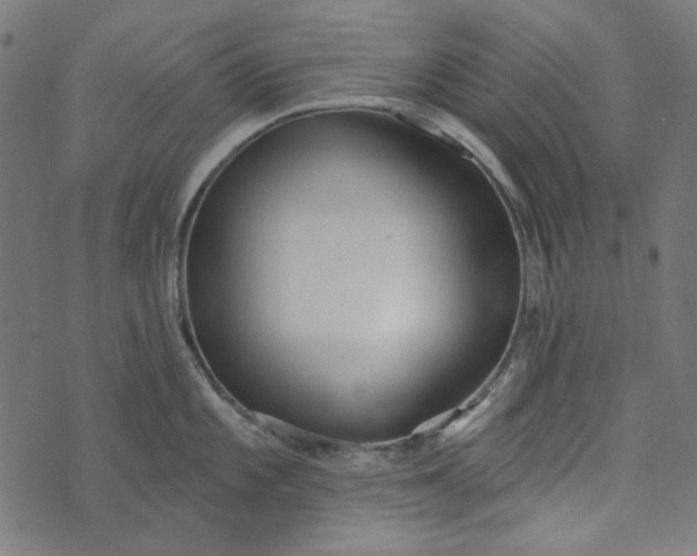 X0000073761101200608171350