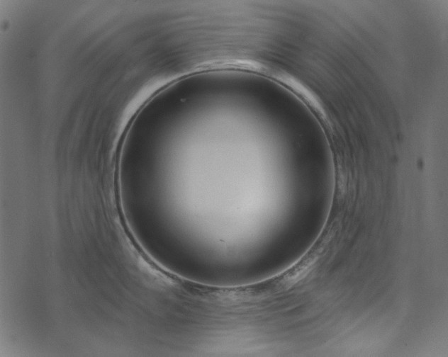 X0000073761102200608171350