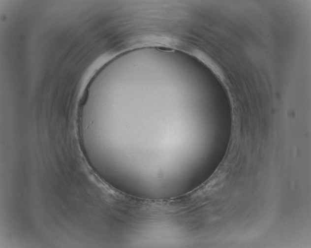 X0000073761104200608171350