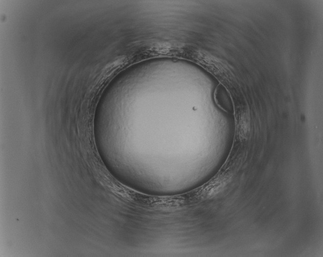 X0000073761105200608171349