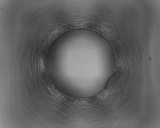 X0000073761106200608171349