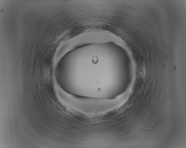 X0000073761108200608171349