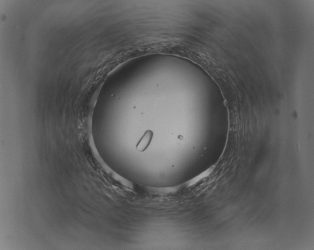 X0000073761109200608171349