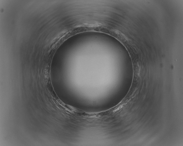 X0000073761110200608171349