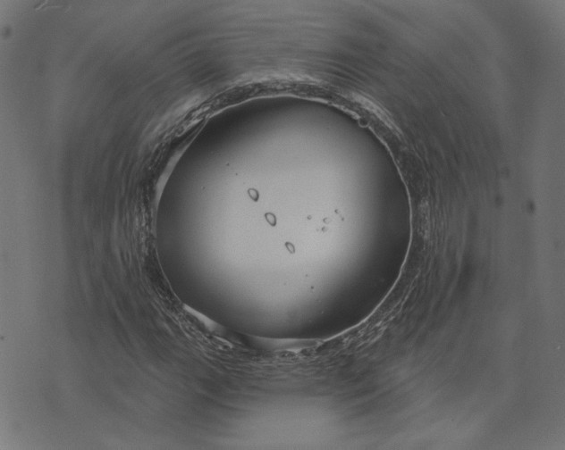 X0000073761111200608171349