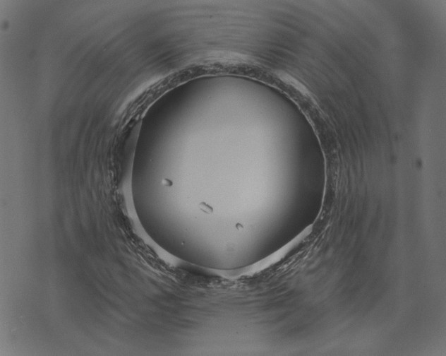 X0000073761112200608171349