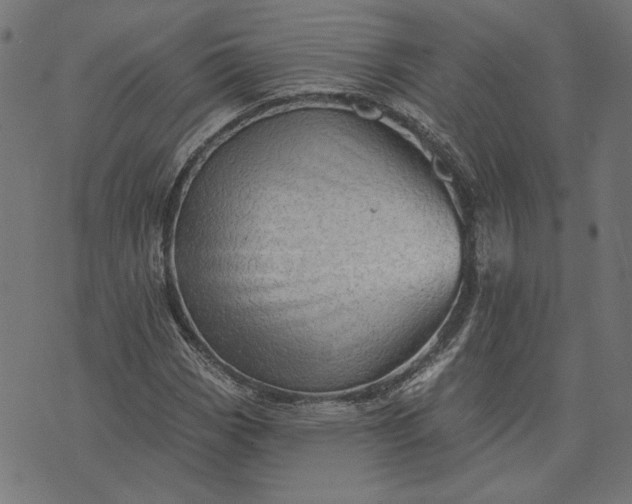 X0000073761113200608171349