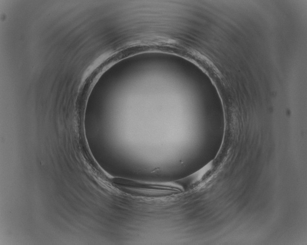 X0000073761114200608171349