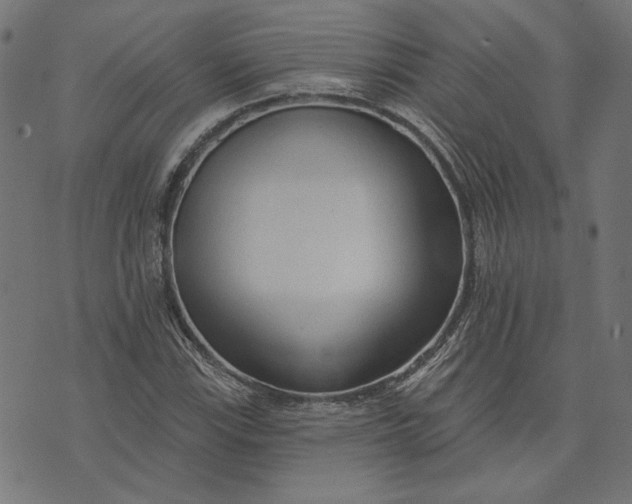 X0000073761115200608171349