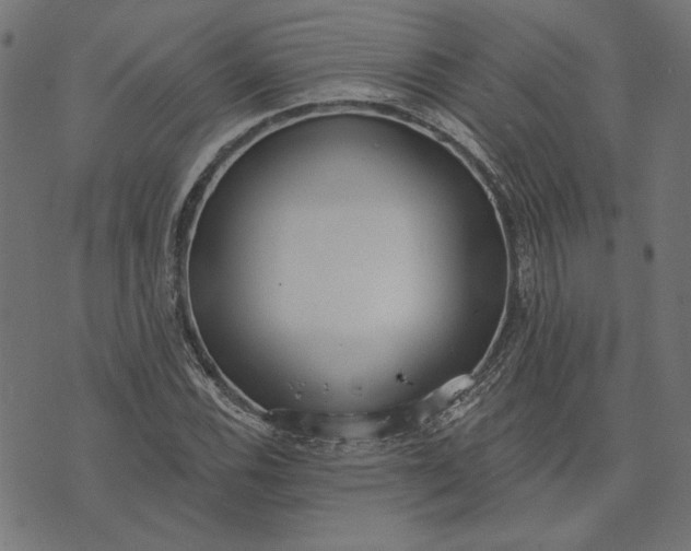 X0000073761116200608171349