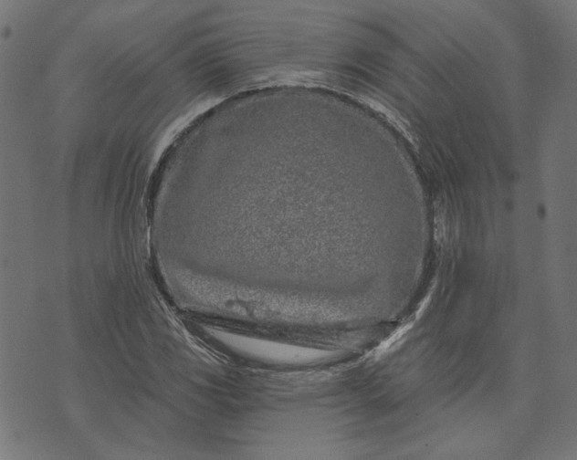 X0000073761117200608171349