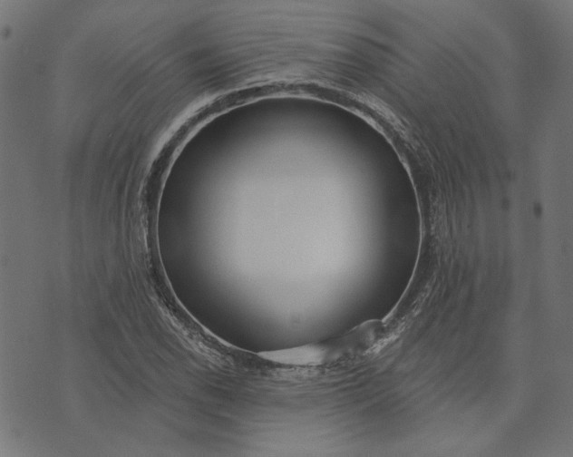 X0000073761118200608171349