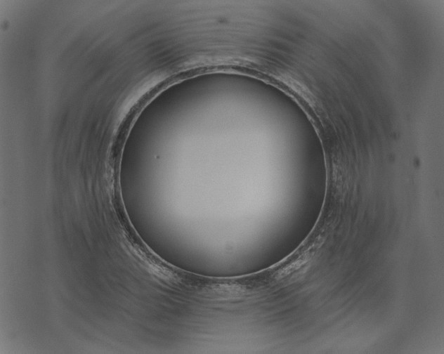 X0000073761119200608171349