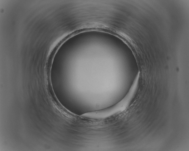 X0000073761120200608171349