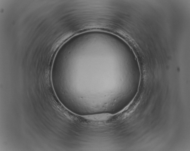 X0000073761121200608171349