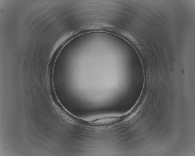 X0000073761122200608171349