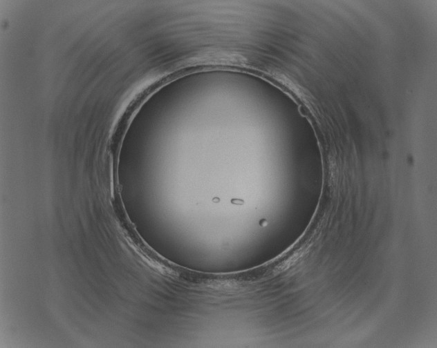 X0000073761123200608171349