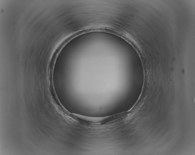 X0000073761124200608171349