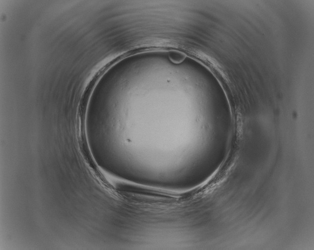 X0000073761125200608171349