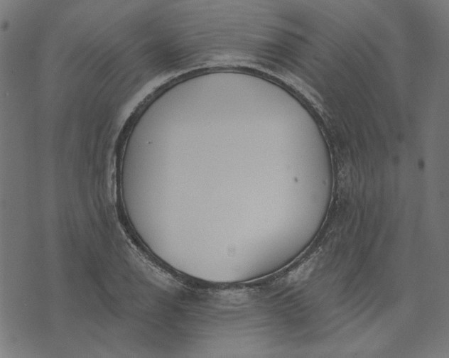 X0000073761126200608171349