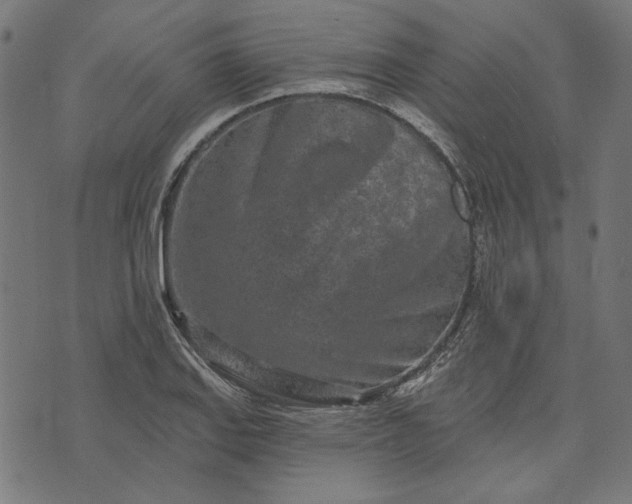 X0000073761127200608171350